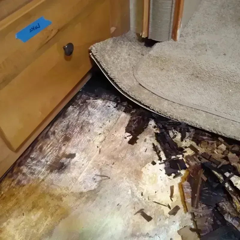 Wood Floor Water Damage in Fayetteville, GA